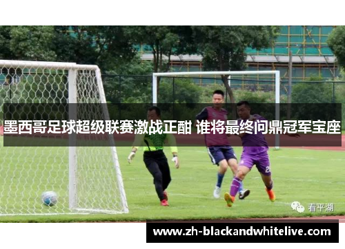 墨西哥足球超级联赛激战正酣 谁将最终问鼎冠军宝座