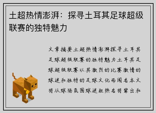 土超热情澎湃：探寻土耳其足球超级联赛的独特魅力