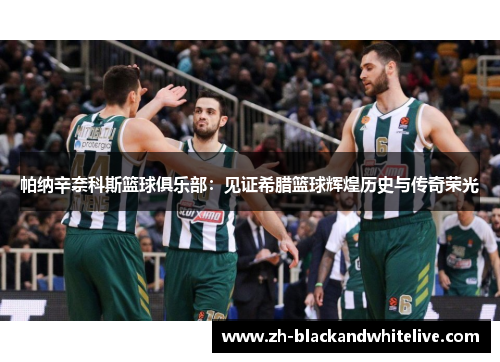 帕纳辛奈科斯篮球俱乐部：见证希腊篮球辉煌历史与传奇荣光