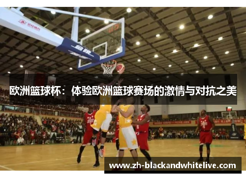 欧洲篮球杯：体验欧洲篮球赛场的激情与对抗之美
