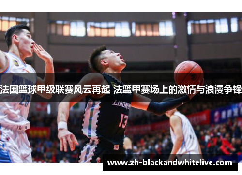 法国篮球甲级联赛风云再起 法篮甲赛场上的激情与浪漫争锋