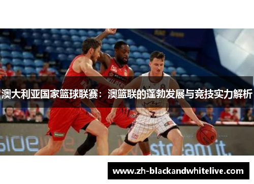 澳大利亚国家篮球联赛：澳篮联的蓬勃发展与竞技实力解析