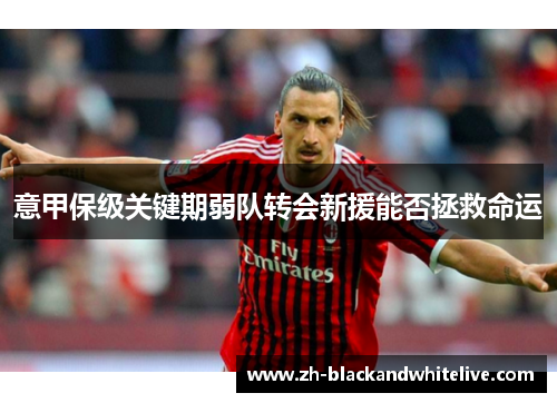 意甲保级关键期弱队转会新援能否拯救命运