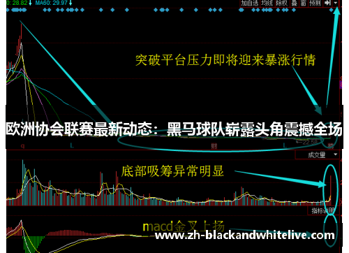 欧洲协会联赛最新动态：黑马球队崭露头角震撼全场